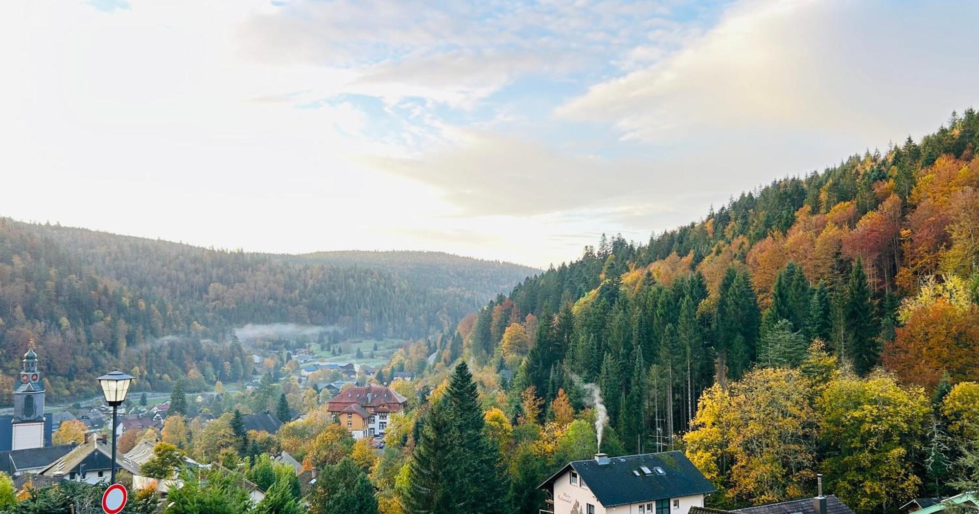 Ferienwohnung Panoramablick - Super Fuer Deine Familie Und Die Besten Aussicht In Ganz Todtmoos Exteriér fotografie