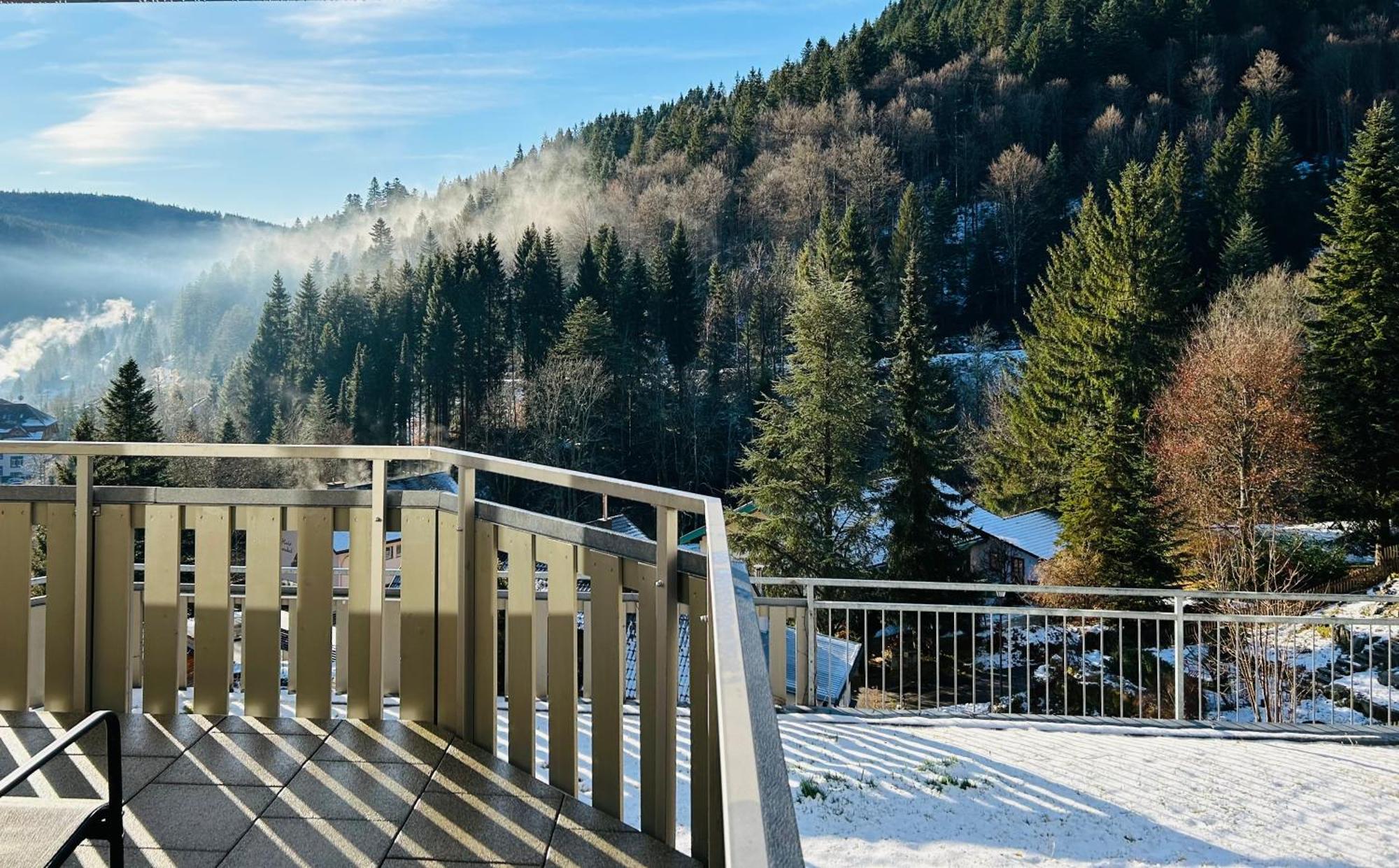 Ferienwohnung Panoramablick - Super Fuer Deine Familie Und Die Besten Aussicht In Ganz Todtmoos Exteriér fotografie